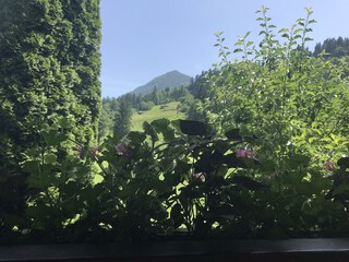 Fewo Zahmer Kaiser (8)