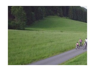 Der Radlweg nach Walchsee