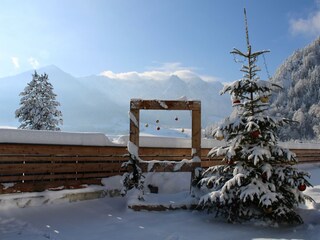 Kaiser Apart Christbaum