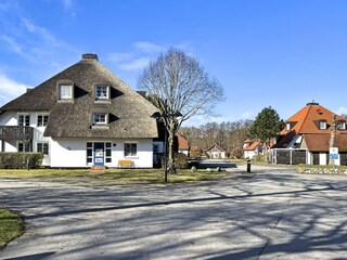 Kormoransiedlung