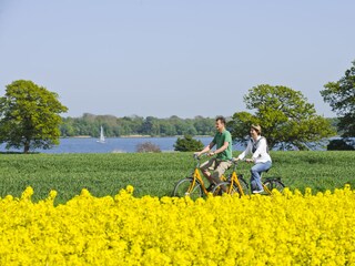 Radfahren mit Schleiblick I Quelle: OFS / Matzen