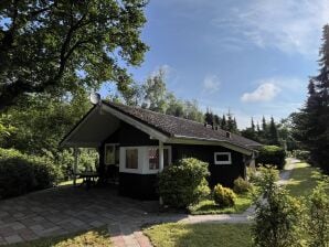 Ferienhaus Sonnenuntergang - Haren (Ems) - image1