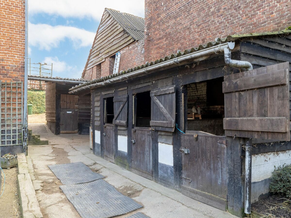 Ferienhaus Hannut Ausstattung 23