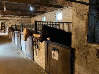 Casa de vacaciones Hannut Grabación al aire libre 4