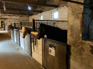Casa de vacaciones Hannut Grabación al aire libre 11
