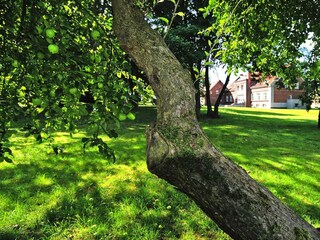 Ferienhaus Zudar Außenaufnahme 1