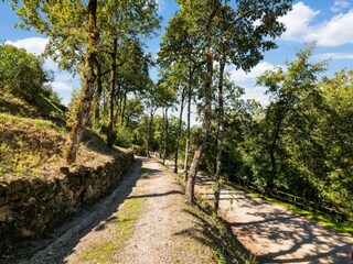 Holiday cottage Magione Environment 31