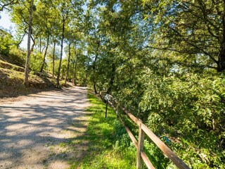 Holiday cottage Magione Environment 24