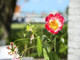 Parco vacanze Loosdrecht  26