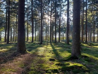 Parc de vacances Loosdrecht Environnement 29