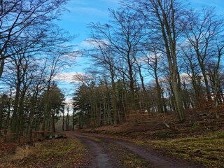 Vakantiepark Loosdrecht Omgeving 30