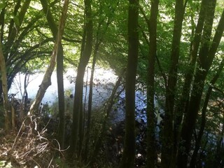 Parc de vacances Loosdrecht Environnement 34