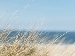 Chalet Renesse Ambiente 13