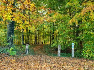 Appartamento per vacanze Schnarup-Thumby Ambiente 31