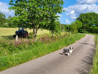 Appartamento per vacanze Schnarup-Thumby Ambiente 35