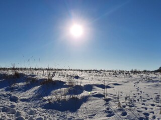 Appartamento per vacanze Schnarup-Thumby Ambiente 37