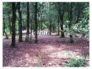 Apartamento de vacaciones Bucine Grabación al aire libre 10