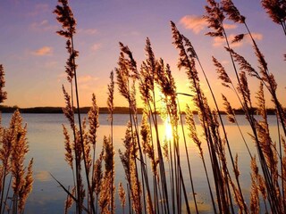 Sonnenuntergang Maasholmer Noor