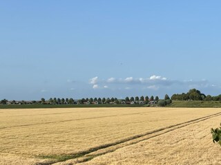 Casa per le vacanze Kattendijke Ambiente 24
