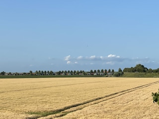 Vakantiehuis Kattendijke Omgeving 24