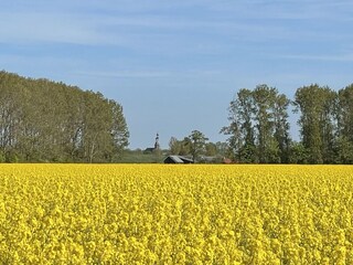 Vakantiehuis Kattendijke Omgeving 20