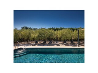 Villa Buići Registrazione all'aperto 5