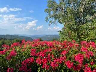 Villa Hlevci Registrazione all'aperto 2