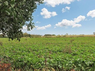 Vakantiehuis Falsled  14