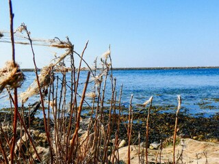 Maison de vacances Falsled  10