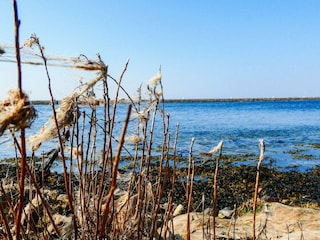 Vakantiehuis Falsled  32