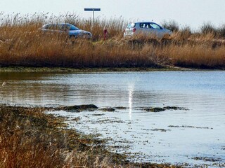 Maison de vacances Falsled  22