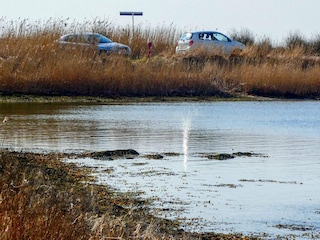 Vakantiehuis Falsled  21