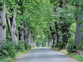 Vakantiehuis Zudar Omgeving 15