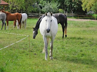 Maison de vacances Zudar Environnement 26