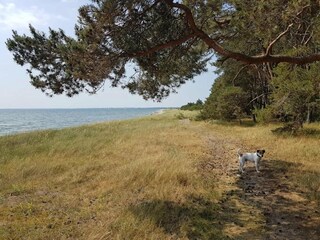 Vakantiehuis Zudar Omgeving 21