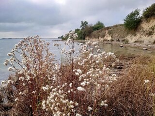 Ferienhaus Zudar Umgebung 31