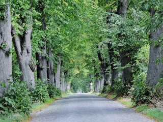 Vakantiehuis Zudar Omgeving 16