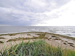Vakantiehuis Zudar Omgeving 15