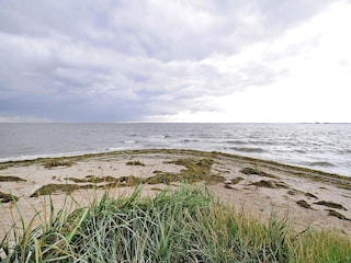Vakantiehuis Zudar Omgeving 28