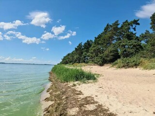 Vakantiehuis Zudar Omgeving 30