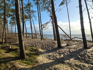 Holiday house Zudar Environment 37