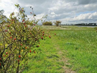 Vakantiehuis Zudar Omgeving 12