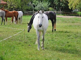 Casa per le vacanze Zudar Ambiente 11