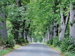 Vakantiehuis Zudar Omgeving 13