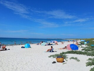 Casa per le vacanze Guissény Ambiente 24