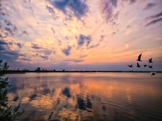 Appartement Albarella Environnement 28