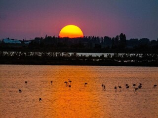 Apartamento Albarella Entorno 28