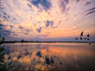 Maison de vacances Albarella Environnement 24