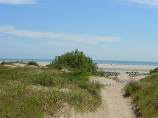 Vakantiehuis Albarella Omgeving 14