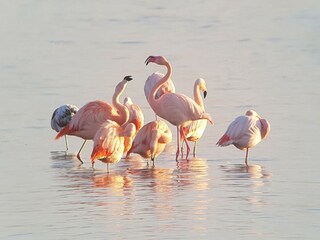 Ferienpark Herkingen Umgebung 24